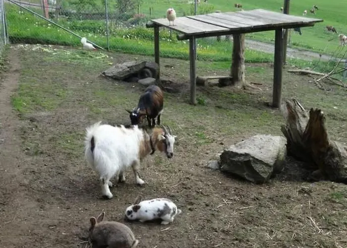 Hof Schuerweid By Interhome